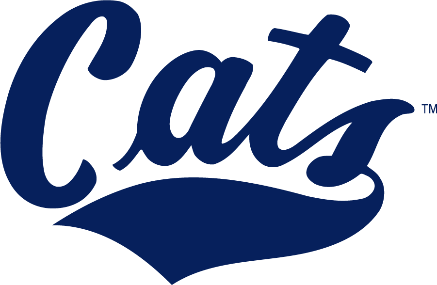 Montana State Bobcats 2013-Pres Wordmark Logo v2 iron on transfers for T-shirts